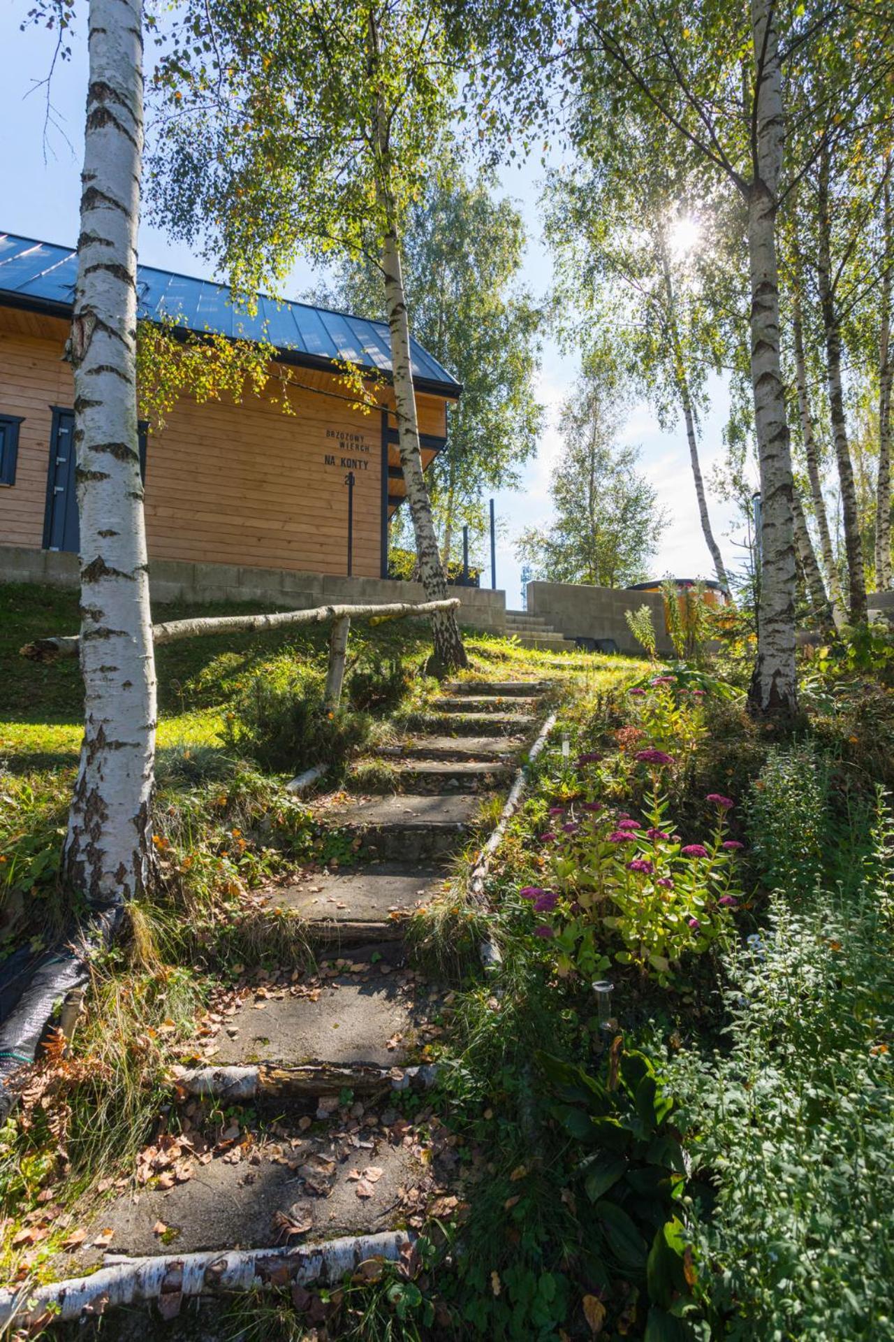 Brzozowy Wierch - Domek Letniskowy Szlembark Extérieur photo